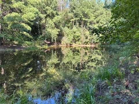 0 Hilt Fornea Rd, Poplarville, MS 39470