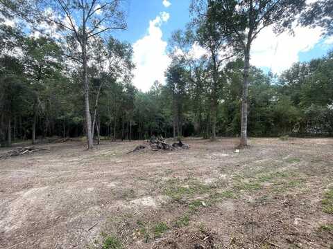 0 Stone Hollow Trace, Carriere, MS 39426