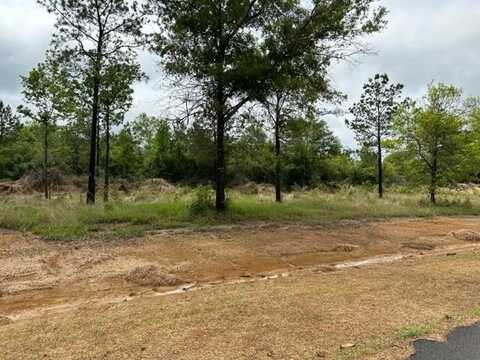 NHN Bent Creek, Lot 21, Picayune, MS 39466