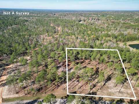 Lot 2 Cowart Holliday Road, Poplarville, MS 39470