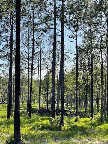 00 Lot F Ervin Ladner Rd, Poplarville, MS 39470