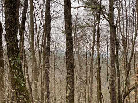 4 ACRE Scenic Way #3833, Ellijay, GA 30540