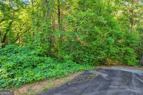 0 Timber Creek Drive #LOT 112, Clayton, GA 30525