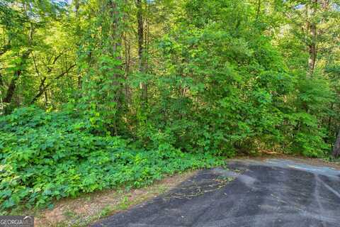 0 Timber Creek Dr #LOT 112, Clayton, GA 30525