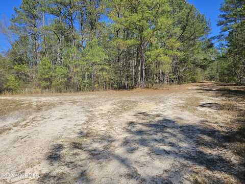 353 Indian Pipe Lane, Vass, NC 28394