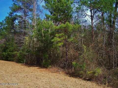 Lot 108 Tbd Blewett Falls Road, Rockingham, NC 28379