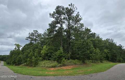 232 Riverhills Trail, Rockingham, NC 28379