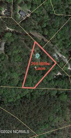 264 Millie Lane, West End, NC 27376