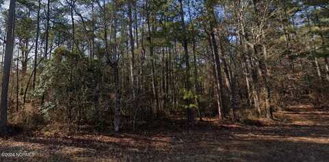 Tbd Hudsonia Drive, Vass, NC 28394