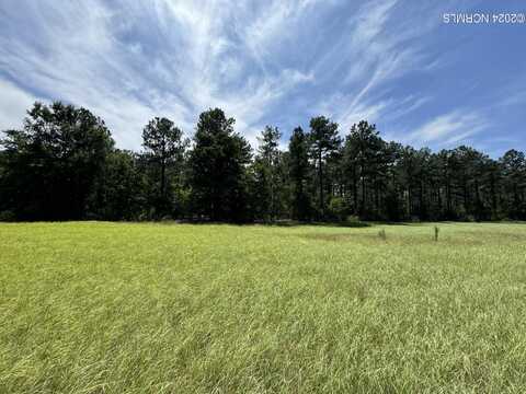 360 Grande Pines Vista, Jackson Springs, NC 27281