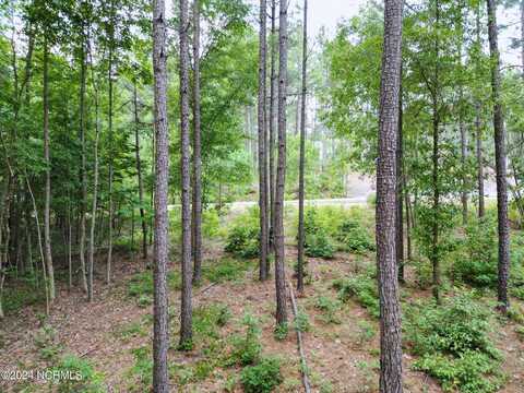 135 Vista Ridge E, Jackson Springs, NC 27281