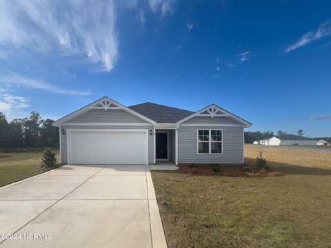 6 Terrier Court, Parkton, NC 28371