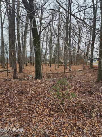 101 Hazelton Drive, Greentown, PA 18426