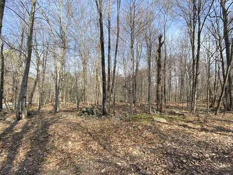 Lot 228 Fawnwood Drive, Greentown, PA 18426