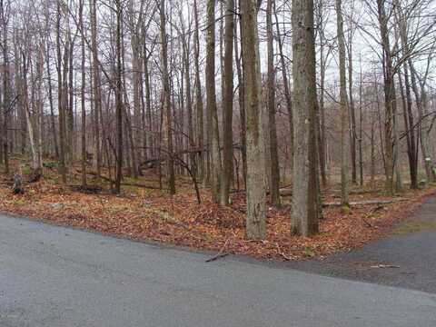 Lot 74 Alder Drive, Newfoundland, PA 18445