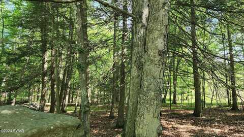 Lot 91 Pocono Mountain Lake Drive, Bushkill, PA 18324