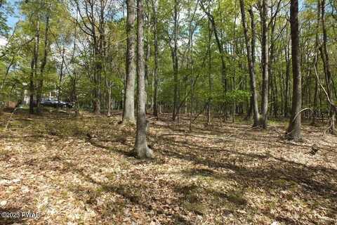 Lot 225 Tink Wig Drive, Hawley, PA 18428