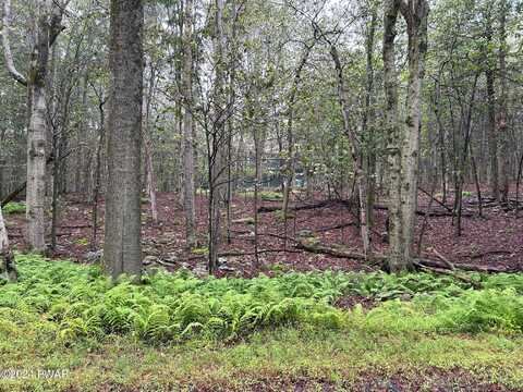 Lot 26 Raintree Road, Newfoundland, PA 18445