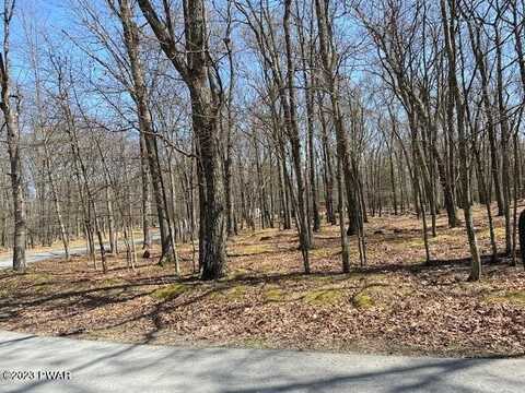 Lot 90 Deer Trail Drive, Hawley, PA 18428