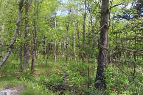 Lot 45.06 Heaters Hill Road, Matamoras, PA 18336