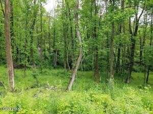 Lot B Owego Turnpike, Honesdale, PA 18431