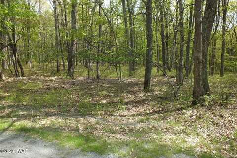 Lot 198 Rimrock Lane, Hawley, PA 18428