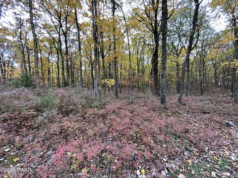 Lot 26 Timber Ridge Drive, Shohola, PA 18458