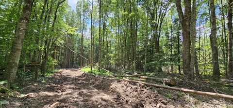 Lot 81.4 County Route 114, Cochecton, NY, NY 12726