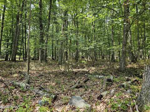 Lot 20 Cove Point Circle, Lakeville, PA 18438