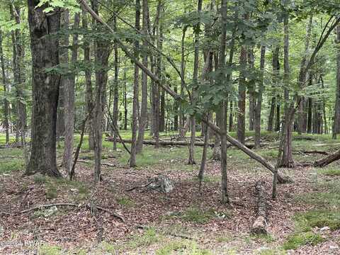 Lot 566 Sunrise Trail, Hawley, PA 18428