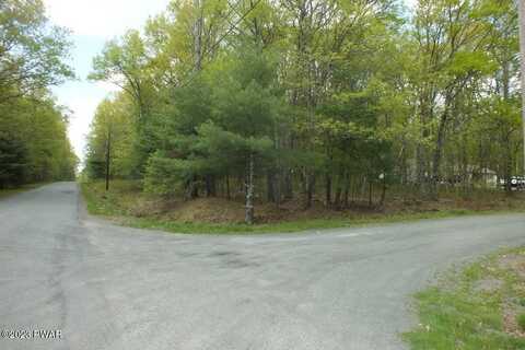 Lot 210 Tink Wig Drive, Hawley, PA 18428