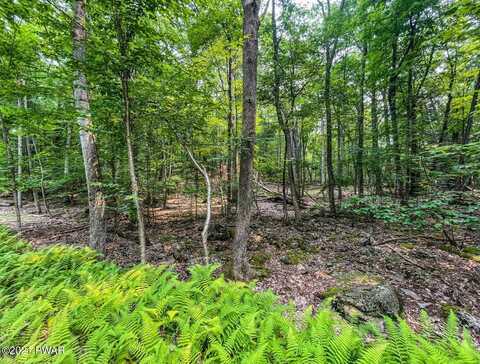 Lot 683 N Paper Birch, Tafton, PA 18464