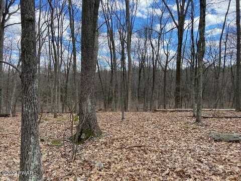 Lot 359 Panda Road, Dingmans Ferry, PA 18328