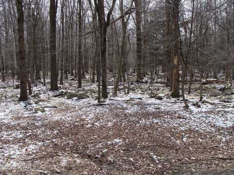 Lot 10 Valley Road, Newfoundland, PA 18445