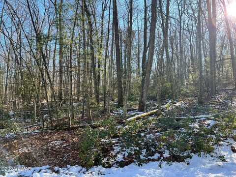 Lot 762 Mountain Snow Circle, Tafton, PA 18464