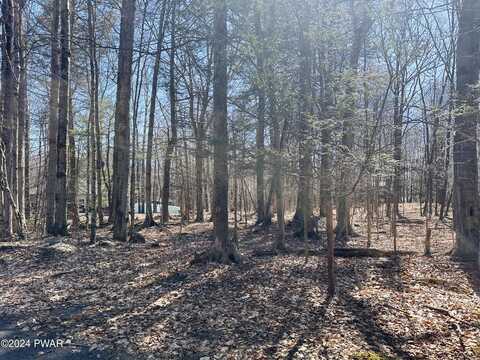 Lot 1138 Chipmunk Lane, Lake Ariel, PA 18436