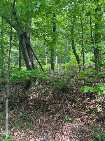 Lot #8 Mill Creek Road, Newfoundland, PA 18445