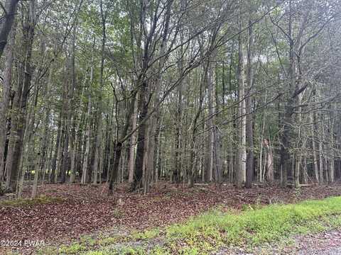 Oakwood Drive, Greentown, PA 18426
