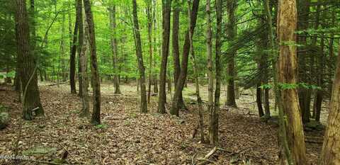 Lot 12 Cedar Court, Lakeville, PA 18438