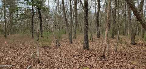 Lot 8 Laurel Drive, Shohola, PA 18458