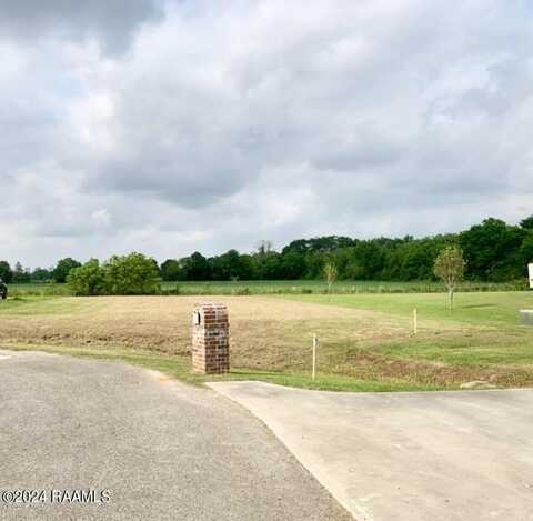 223 Psalms Court, Youngsville, LA 70592