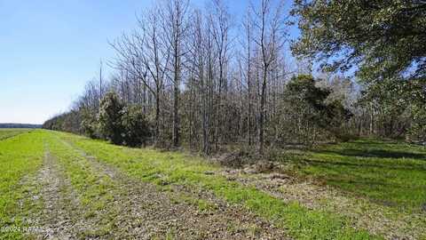 Tbd Hwy 31, Breaux Bridge, LA 70517