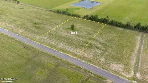 Tbd Doc Guidry Road, Cankton, LA 70584