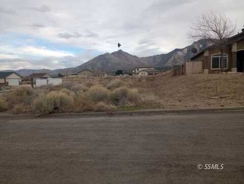 4312 Fiddleneck ST, Lake Isabella, CA 93240