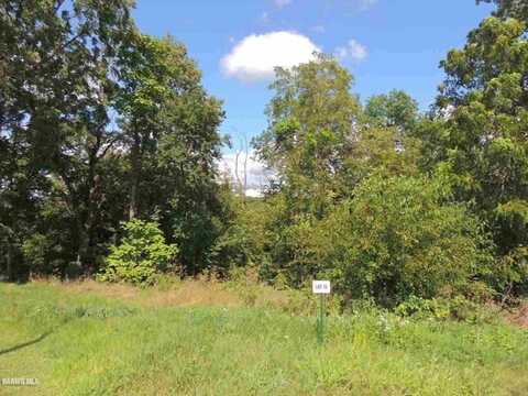 Lot 70 Ryan, GALENA, IL 61036