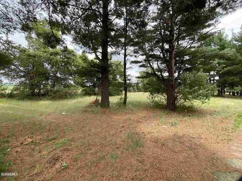 Lot 20 Squire, THOMSON, IL 61285