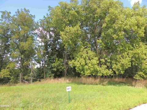 Lot 73 Sproule, GALENA, IL 61036