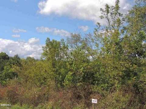 Lot 63 Sproule, GALENA, IL 61036