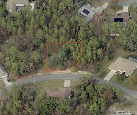 8 Pawpaw Court S, Homosassa, FL 34446