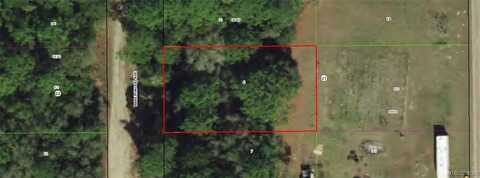 808 Breezewood Avenue, Inverness, FL 34453